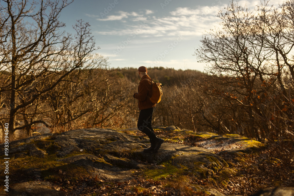 Obraz premium A man with a backpack hikes across a mossy rocky ridge at sunset. This scenic autumn landscape features bare trees and warm golden hour light, capturing the peaceful essence of outdoor adventure.