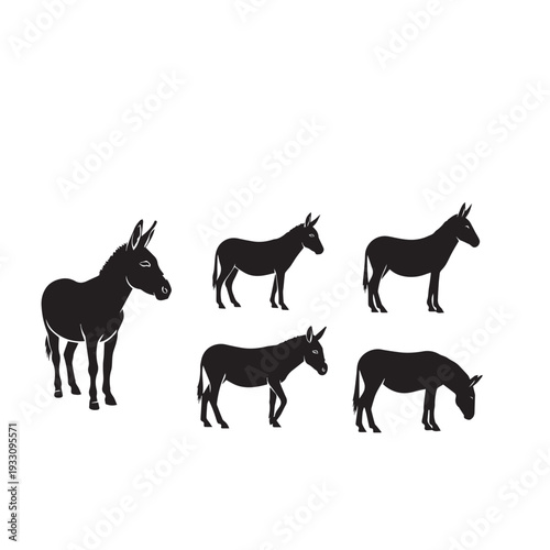 Donkey Silhouette Set Black and White Vector Illustration

Donkey Outline Collection Minimal Monochrome Vector

Donkey Animal Silhouette Pack Black White Clipart