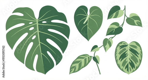 A vibrant collection of diverse tropical plant leaves, showcasing intricate patterns and green hues, perfect for elegant botanical designs