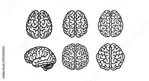 hand drawn vector illustration of a brain