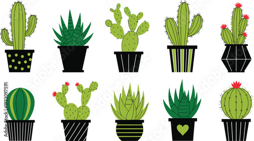 Cute green cactus and succulent plants in black pots flat cartoon vector illustration collection isolated on white background