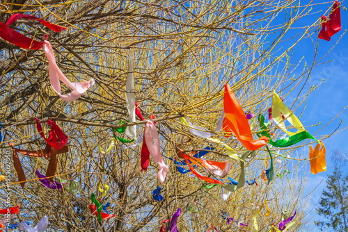 The branches of the trees are decorated with colorful ribbons