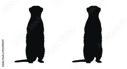 Two meerkats standing upright a striking black silhouette