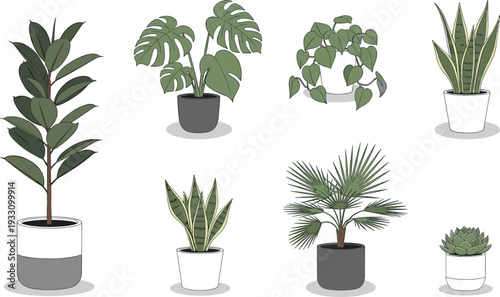 Indoor potted plants collection with tropical houseplants and decorative home greenery illustrations