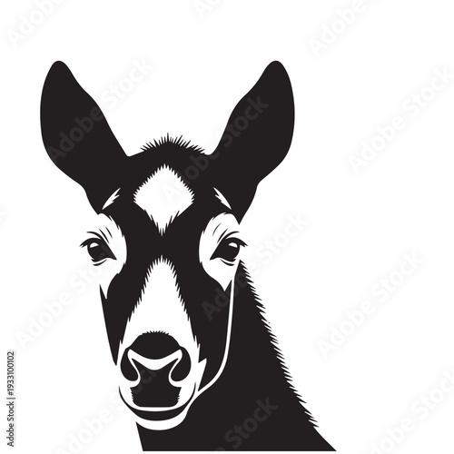 Dromedary Face Silhouette Set Black and White Vector

Dromedary Head Outline Collection Monochrome Illustration

One Hump Camel Face Silhouette Pack Black White