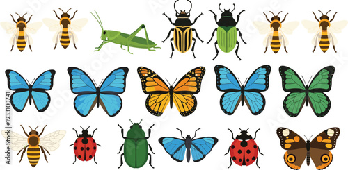Butterflies bees and beetles collection with colorful insects and nature wildlife illustration set