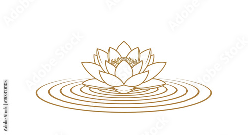 Delicate lotus flower illustration with concentric ripples a golden silhouette