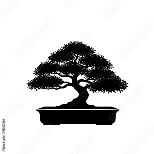Silhouette of a mature bonsai tree in a rectangular pot, isolated on white background