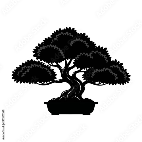 Silhouette of a Mature Bonsai Tree in a Pot, Artistic Japanese Garden Element