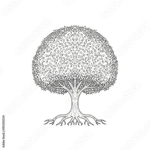 Detailed illustration of a mature tree with lush foliage and exposed roots, black and white