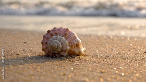 Seashell on Sandy Beach with Gentle Ocean Waves.