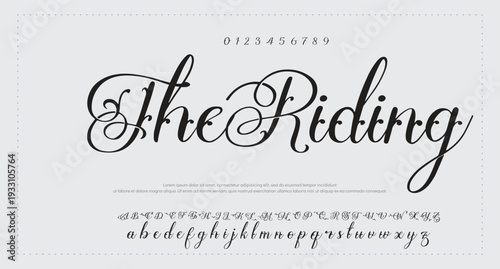 Script Brush Font Type Font lettering handwritten. vector illustration  