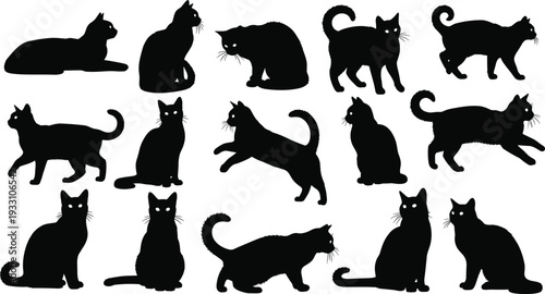Large collection of black cat silhouettes, domestic feline icons in various poses, sitting, walking,