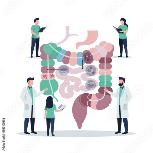 Medical Team Studying Intestinal Health and Digestive System Anatomy