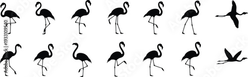 Collection of twelve black flamingo silhouettes in standing, walking, and flying poses, showcasing diverse bird movements and artistic design for nature, wildlife, and educational use