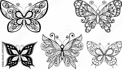 Beautiful butterflies with intricate designs for coloring book