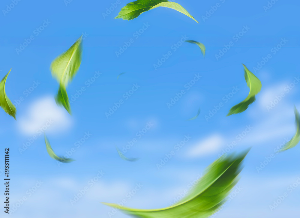 Fototapeta premium Green Leaves Flying in Blue Sky with Soft Clouds Background