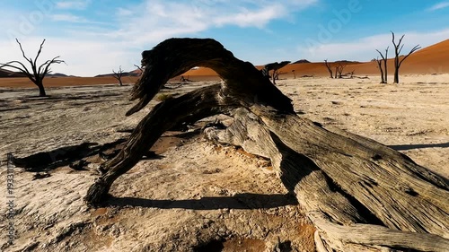 deadvlei in Namibia during the day
