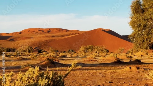 deadvlei in Namibia car trip with a tent