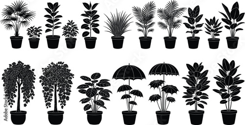 Black silhouette indoor plants collection potted houseplants botanical vector illustration set