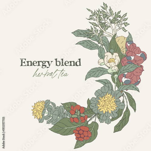 Hand drawn wreath with energy tea medicinal plants