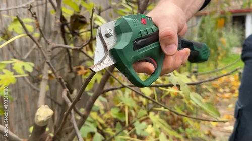 Close view of hand using cordless pruning shears on garden branches, practical landscaping and orchard care, calm autumn yard work mood for DIY tools and maintenance