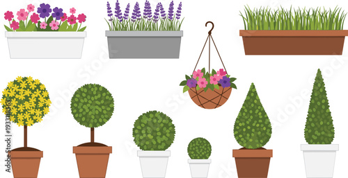 Collection of garden plants trees and hanging flower pots decorative botanical vector illustration set