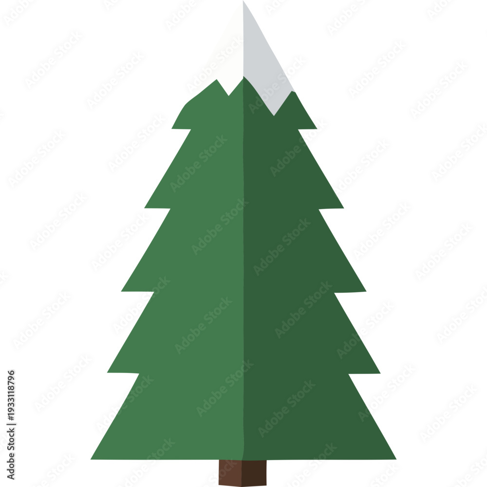 Fototapeta premium Green Pine Tree