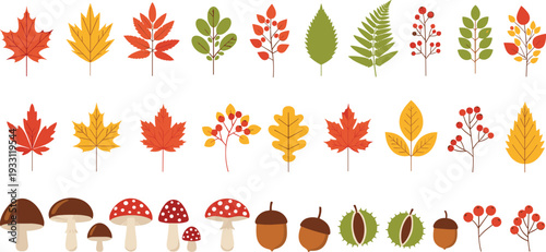 Autumn Leaves and Forest Elements Vector Set Featuring Colorful Maple Leaves, Oak Leaves, Mushrooms, Acorns, and Wild Berries in Flat Hand Drawn Style