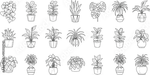 Large set of minimalist indoor potted plants in black line art style featuring monstera ficus snake plant and succulents for home interior decoration