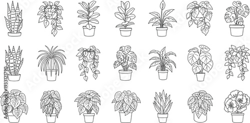 Indoor houseplant outline collection with potted tropical plants botanical line illustration set