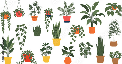 Indoor houseplants collection with hanging and potted tropical greenery decorative home plant illustrations