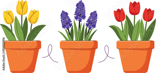 Potted spring flowers with tulips and hyacinths decorative garden plant illustration set