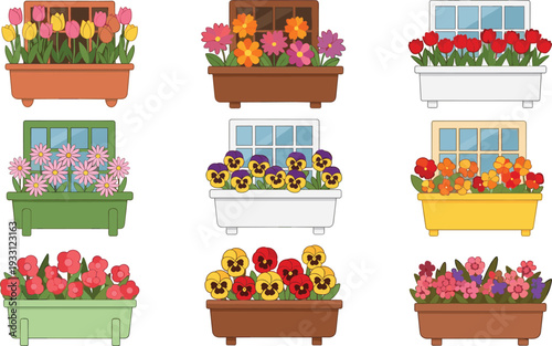 Colorful flower window boxes collection with blooming garden plants decorative floral arrangements