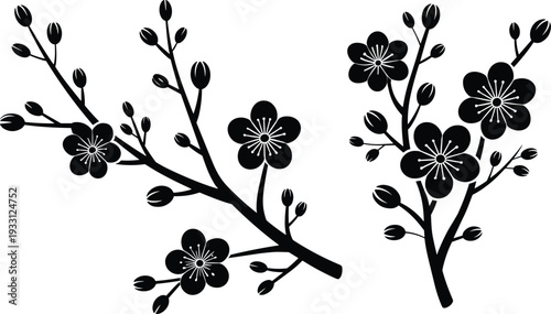 Black cherry blossom flower branch silhouettes and floral botanical vector set for spring nature design element