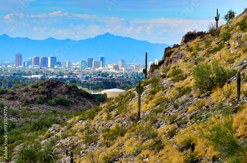Downtown Phoenix Arizona with mountains and Wild Desert Cactus