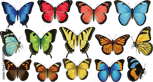 Colorful butterfly collection with realistic wings insects and nature wildlife illustration set