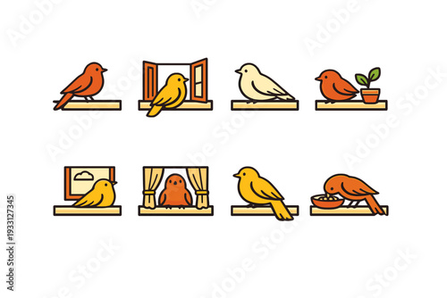 Colorful cartoon birds on windowsills with plants and feeders