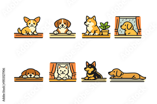 Adorable dogs at windows: cute pets indoors with curtains and plants