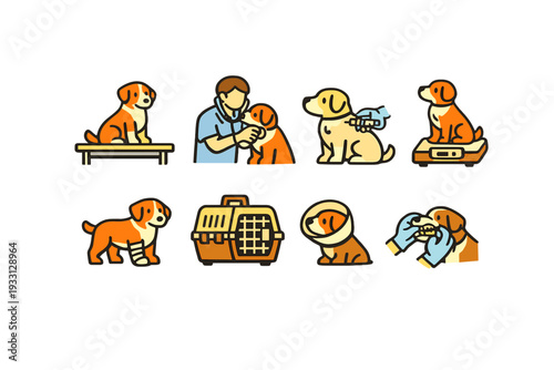 Illustrations of canine veterinary care procedures and medical equipment