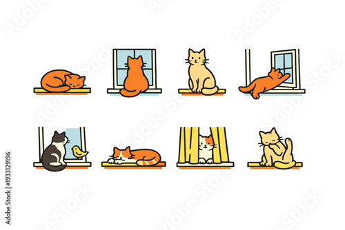 Playful cats by windows: cozy home scenes