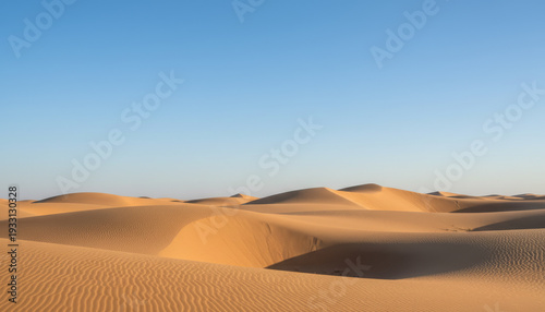 Minimal desert landscape with sand dunes