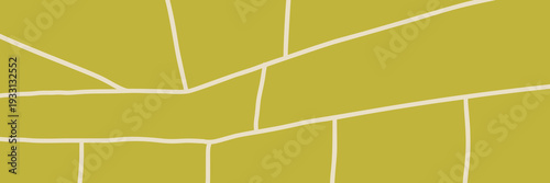 Texture vineyard plantation for top pattern rice and farm view field.