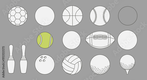 Collection of Sports Balls and Equipment on Gray Background
