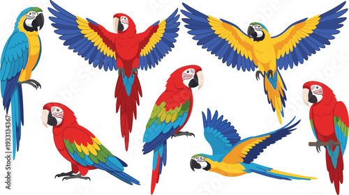 Colorful macaw parrot collection with tropical birds flying and perched wildlife illustrations