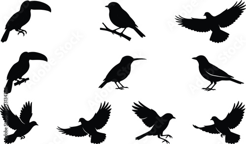 "Collection of nine bird silhouettes featuring toucan, hummingbird, and flying species in diverse poses for wildlife illustration, ornithology study, and creative design projects"