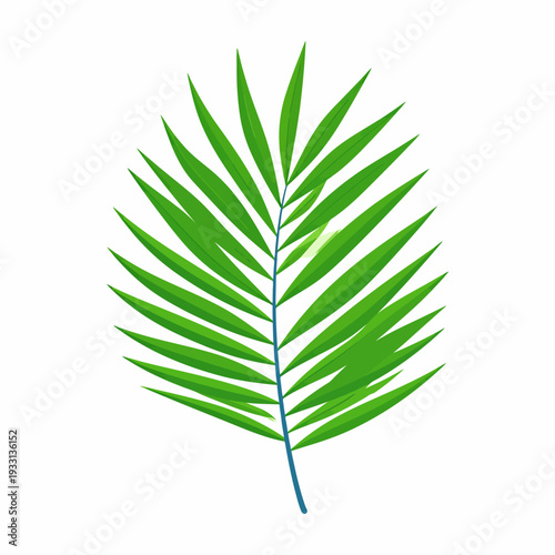 Close-up view of a vibrant green palm frond centered against a clean white background, showcasing simple graphic illustration from a frontal perspective