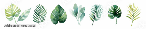 Vibrant green tropical watercolor leaves with monstera, palm and banana foliagehand painted botanical elements ideal for spring and summer nature inspired designs and patterns