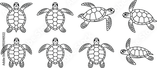 Sea turtle outline icon set with swimming marine reptile line art vector illustration collection