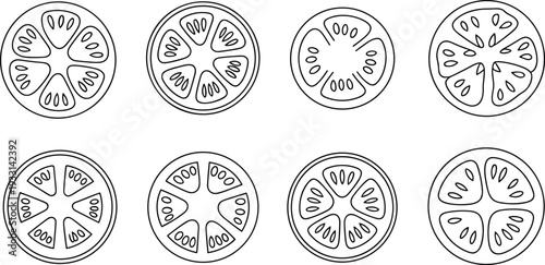Tomato slice icon set with fresh vegetable cross section outline line art vector illustration collection isolated